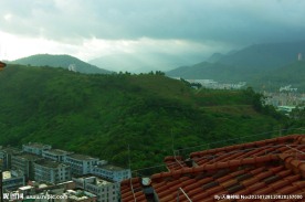 山峰酒店 云雾观音