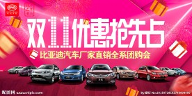 双十一比亚迪全系团购会