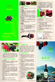 桑椹酒折页