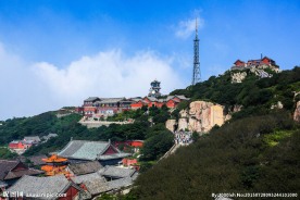 山东泰山