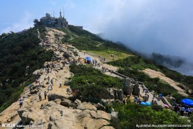 山东泰山