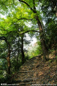 东坪古道
