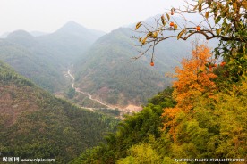 东坪古道