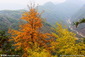东坪古道