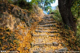东坪古道