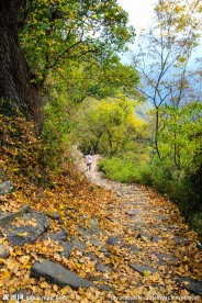 东坪古道