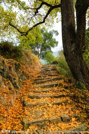 东坪古道