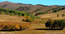 内蒙古坝上风光