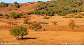 内蒙古坝上风光