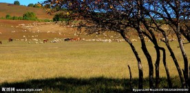 内蒙古坝上风光