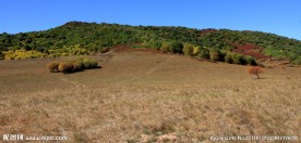 内蒙古坝上风光