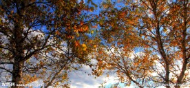 内蒙古坝上风光