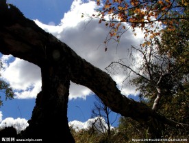 内蒙古坝上风光