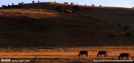 内蒙古坝上风光