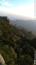 森林的顶峰
