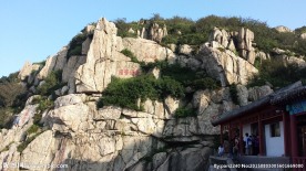 山东泰山
