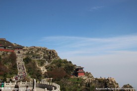 山东泰山