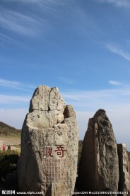 山东泰山