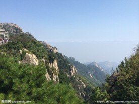 山东泰山