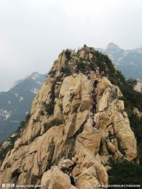 山东泰山