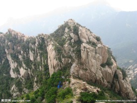 山东泰山