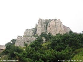 山东泰山