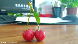 樱桃 红樱桃