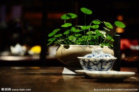 茶杯茶具摄影