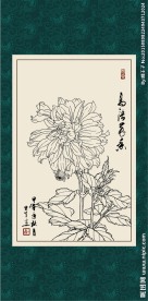 大丽花