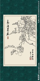 山里红