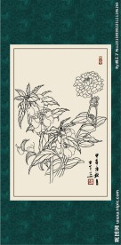凤仙
