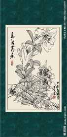 石竹