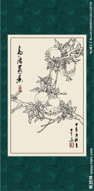 石榴