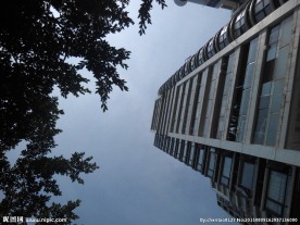 国际商务楼