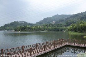 水濂湖路边