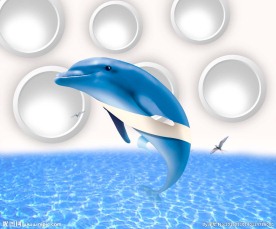 海豚