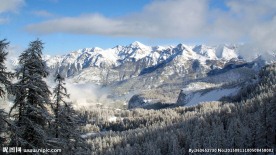森林雪山