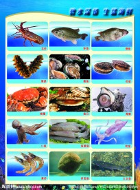 海鲜宣传单