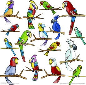 卡通鹦鹉矢量素材