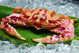 花蟹