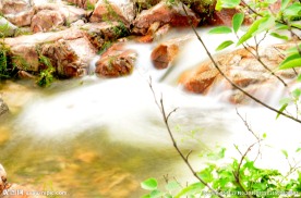 泰山水韵