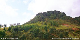山顶风光