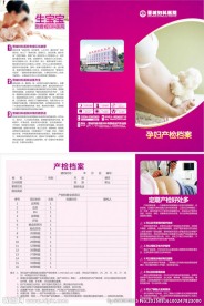 孕妇产检档案