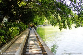 湖边林荫小路