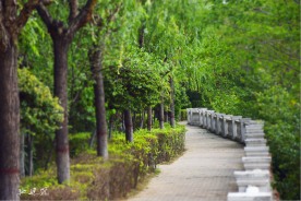 风景摄影