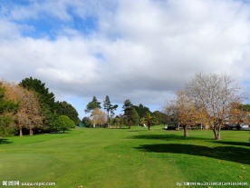 新西兰自然风景