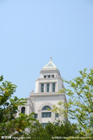 室外风景特写 绿丛 尖顶