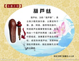 乐器介绍 葫芦丝 艺术