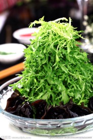 苦菊拌秋耳