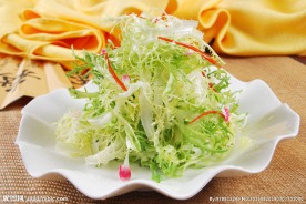 凉拌苦菊
